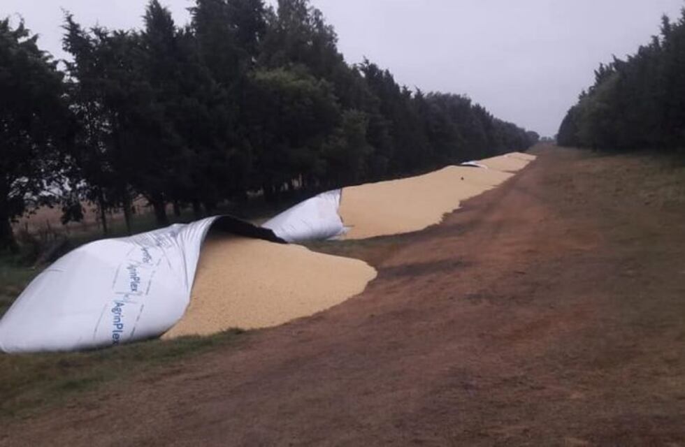 Zenón Pereyra: millonario robo de soja