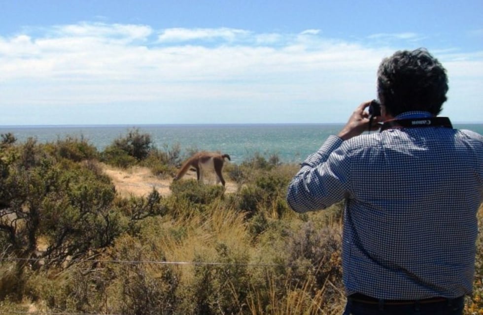 Península Valdés y Punta Tombo desbordaron de turistas en el inicio del de 2020