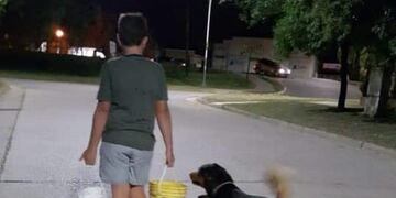 Rescata animales de la calle\u002E