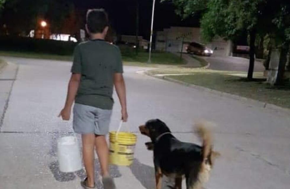 Adolescente entrerriano busca darles un hogar a animales abandonados