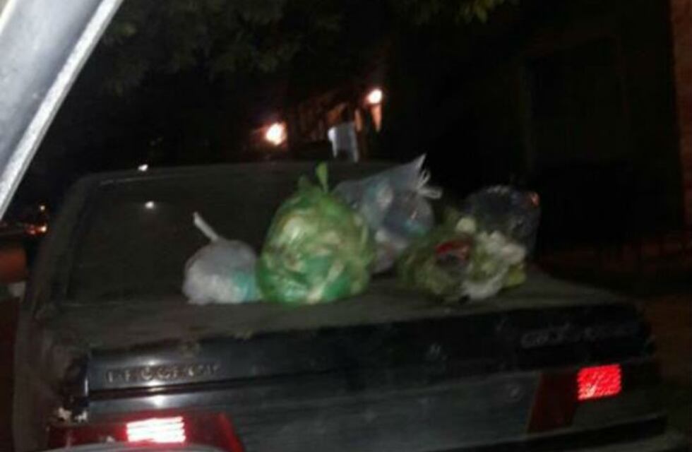 Recolectores versus vecinos