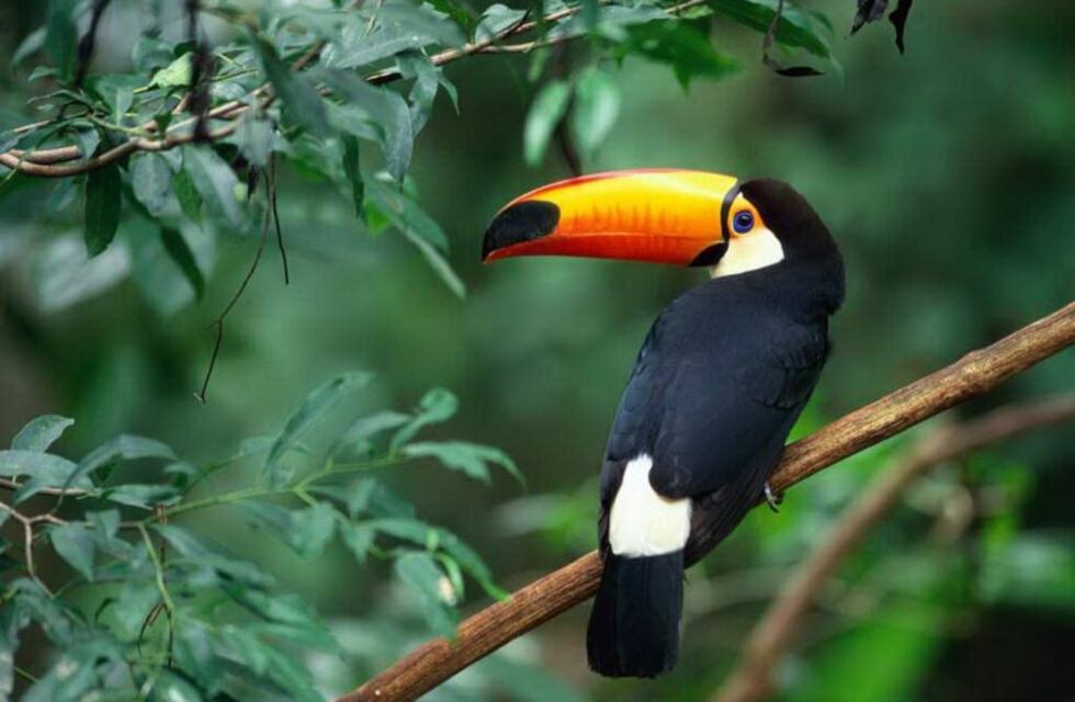 Iguazú seminublado con una tarde bastante calurosa