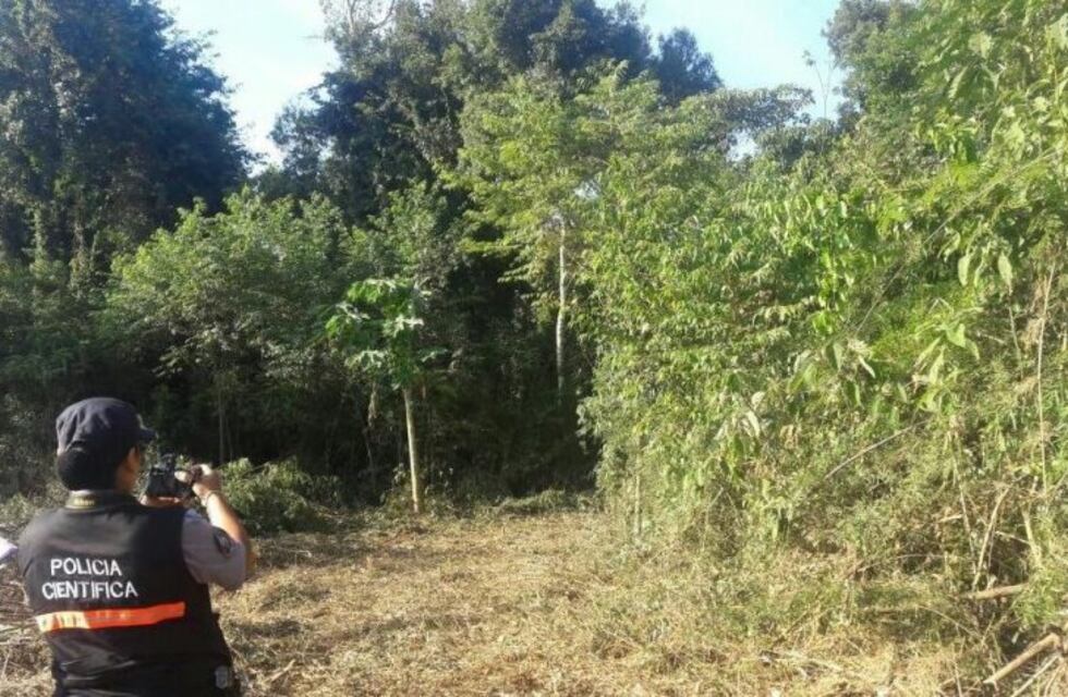 Andresito: un trabajador rural murió aplastado por un árbol