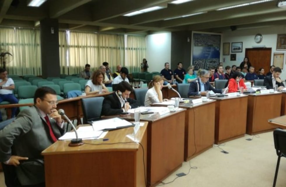 Los concejales oficializaron el congelamiento de sus dietas