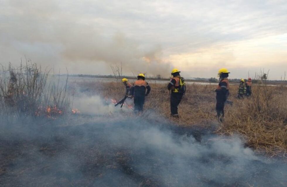 Incendios en las islas: Nación le apuntó a los productores y a la Justicia