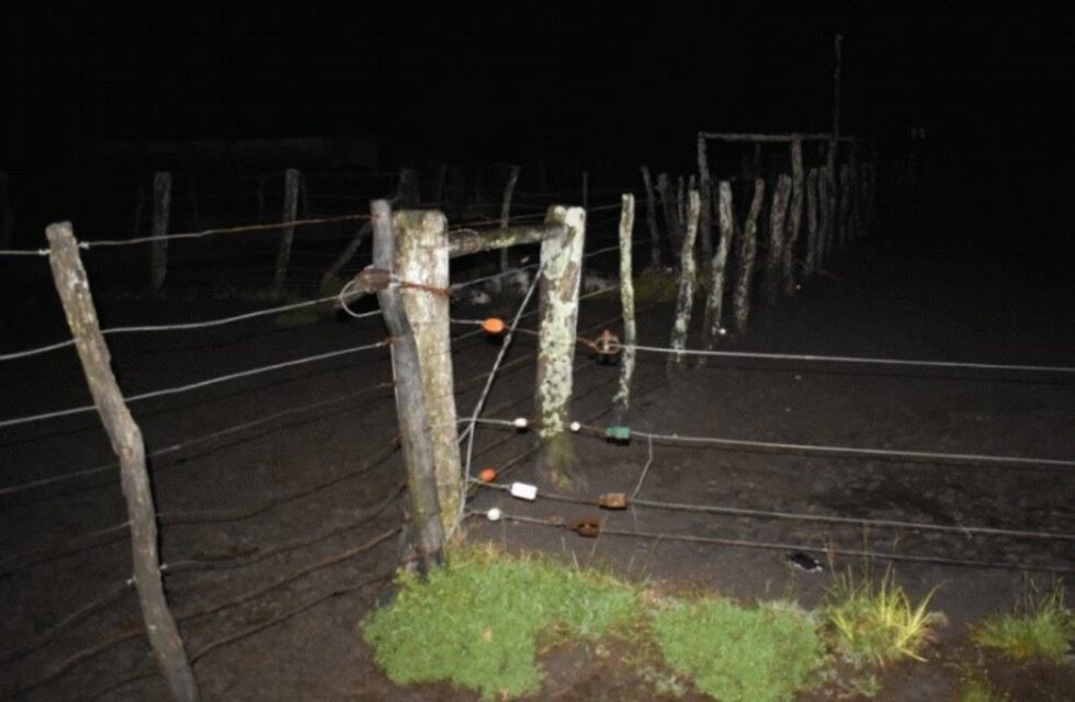 Un boyero eléctrico causó la muerte de un hombre en Feliciano