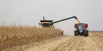 Creció la carga impositiva para la agricultura con la última suba de las retenciones