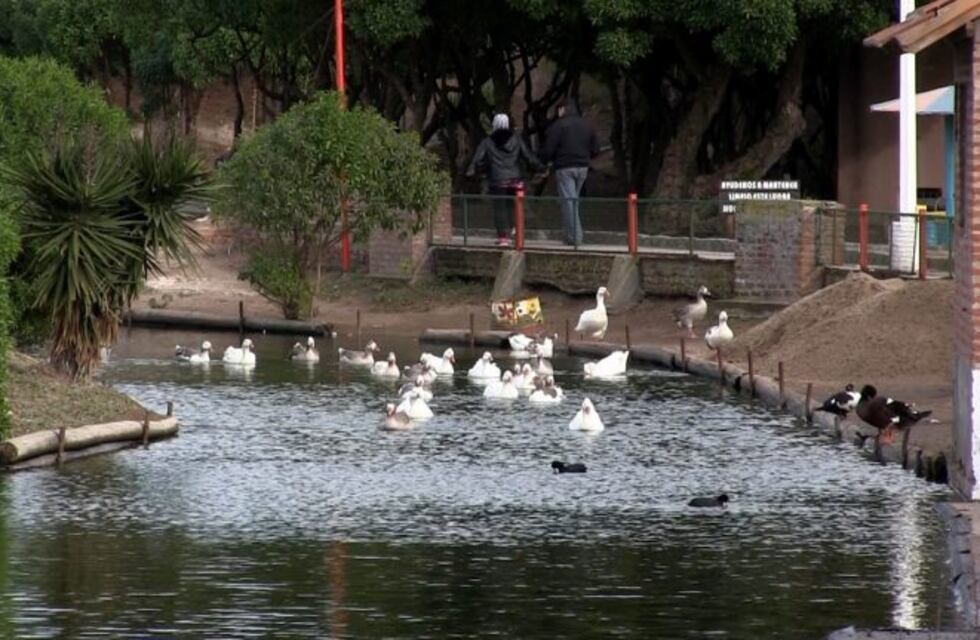 Oferta rebasadora para el Lago de los Cisnes