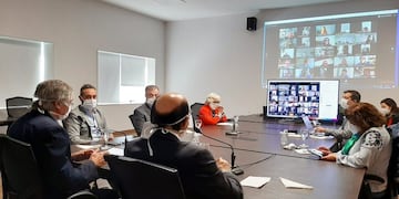 Reunión virtual