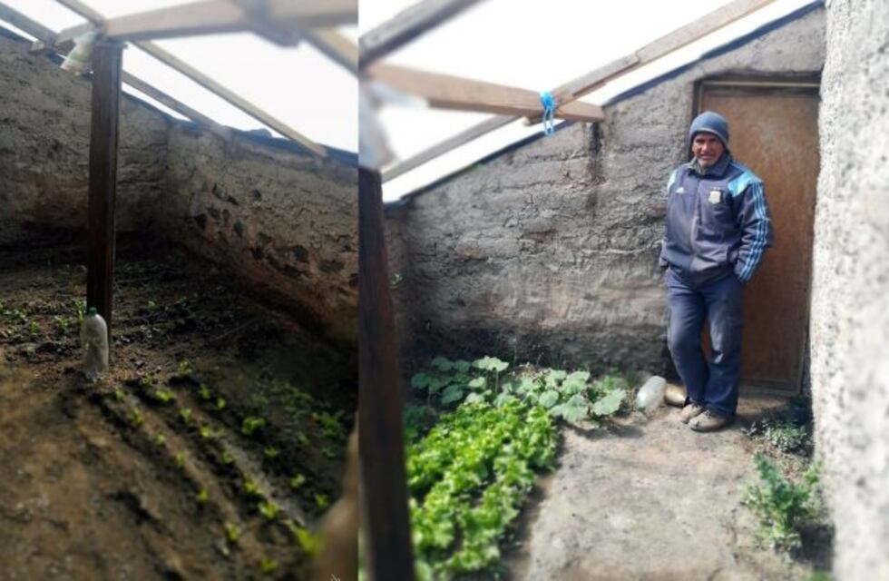 Mirá el invernadero que armó un hombre para plantar verduras en medio de La Puna