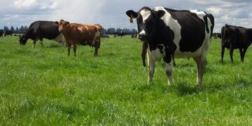 Este domingo inaugura una muestra sobre lechería en el Museo Histórico Municipal (Prensa Municipalidad de Rafaela)