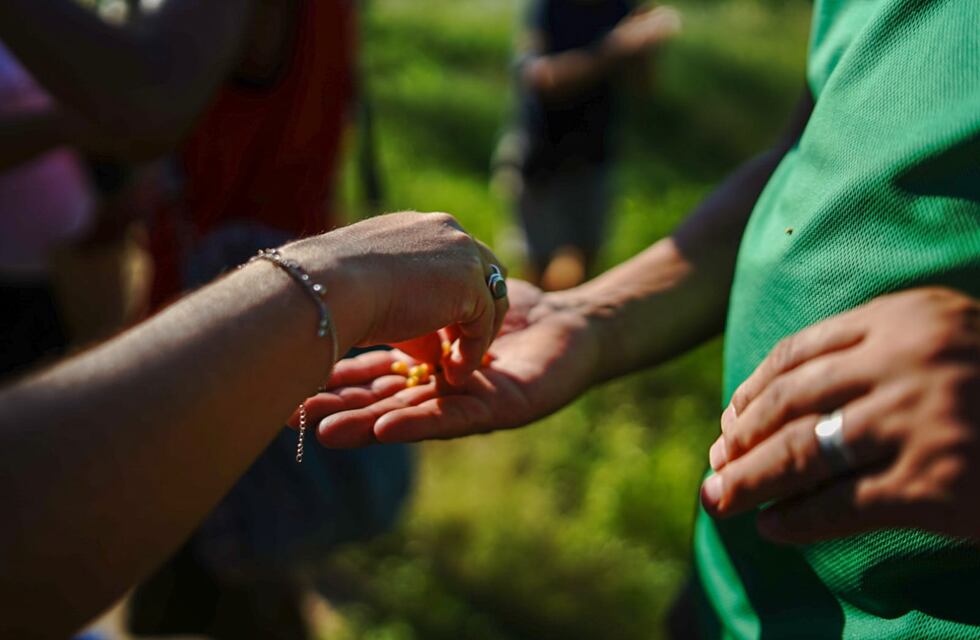 Jornada de intercambio de semillas