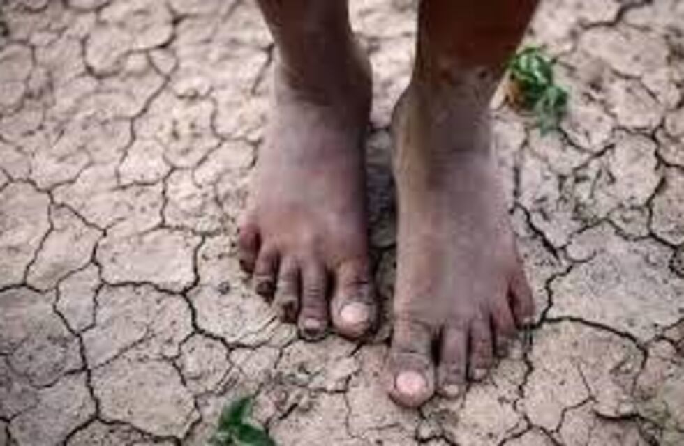 Con un click podés ayudar a llevar agua y comida a los wichís del Chaco salteño