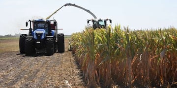 La Mesa de Enlace anunció que realizará un cese de comercialización de granos desde el lunes 11 de enero hasta el miércoles 13 inclusive. (Foto: Gentileza)