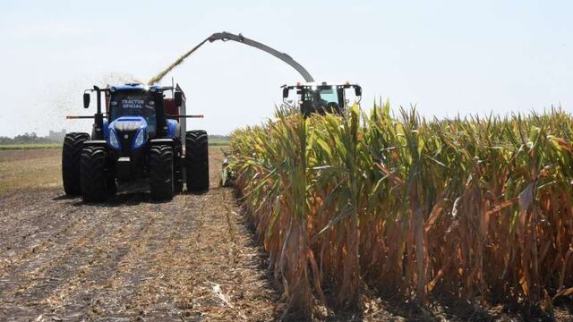 La Mesa de Enlace anunció que realizará un cese de comercialización de granos desde el lunes 11 de enero hasta el miércoles 13 inclusive. (Foto: Gentileza)