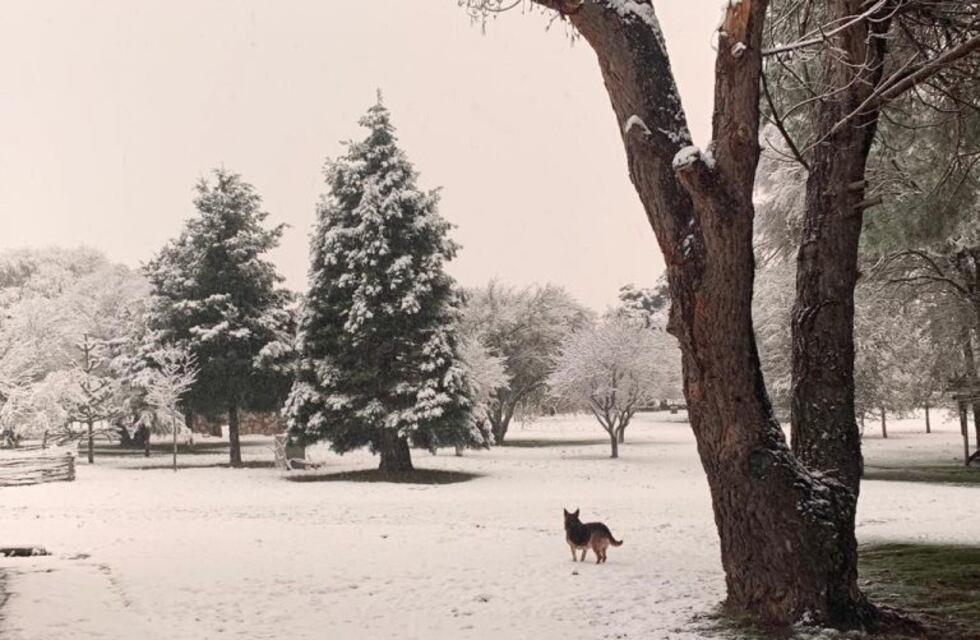 Cómo estará el clima en el día más corto y la noche más larga del año en San Luis
