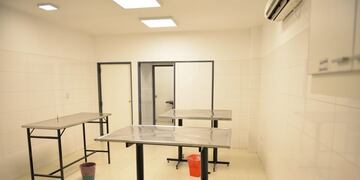 Sala de recuperación para mascotas castradas\u002E