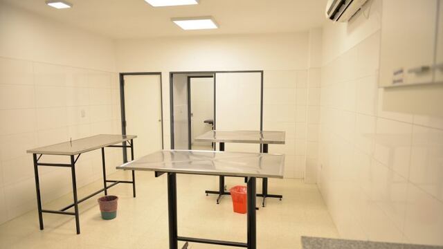 Sala de recuperación para mascotas castradas\u002E