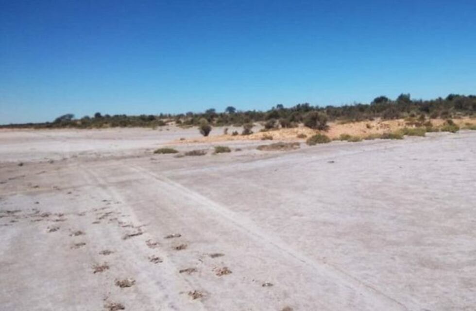 Investigadores de la Universidad hallaron un yacimiento de "tierras raras"