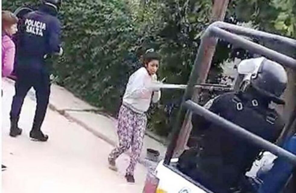 Castañares: fueron desplazados los policías que lesionaron a una embarazada