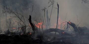 A fire burns along the road to Jacunda National Forest, near the city of Porto Velho in the Vila Nova Samuel region which is part of Brazil's Amazon, Monday, Aug\u002E 26, 2019\u002E The Group of Seven nations on Monday pledged tens of millions of dollars to help Amazon countries fight raging wildfires, even as Brazilian President Jair Bolsonaro accused rich countries of treating the region like a \