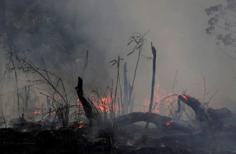 Amazonas: 24 bomberos mendocinos se preparan para ir a combatir el fuego