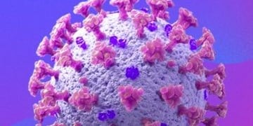 Ascienden los casos de Coronavirus en Gualeguaychú\u002E\nCrédito: Web