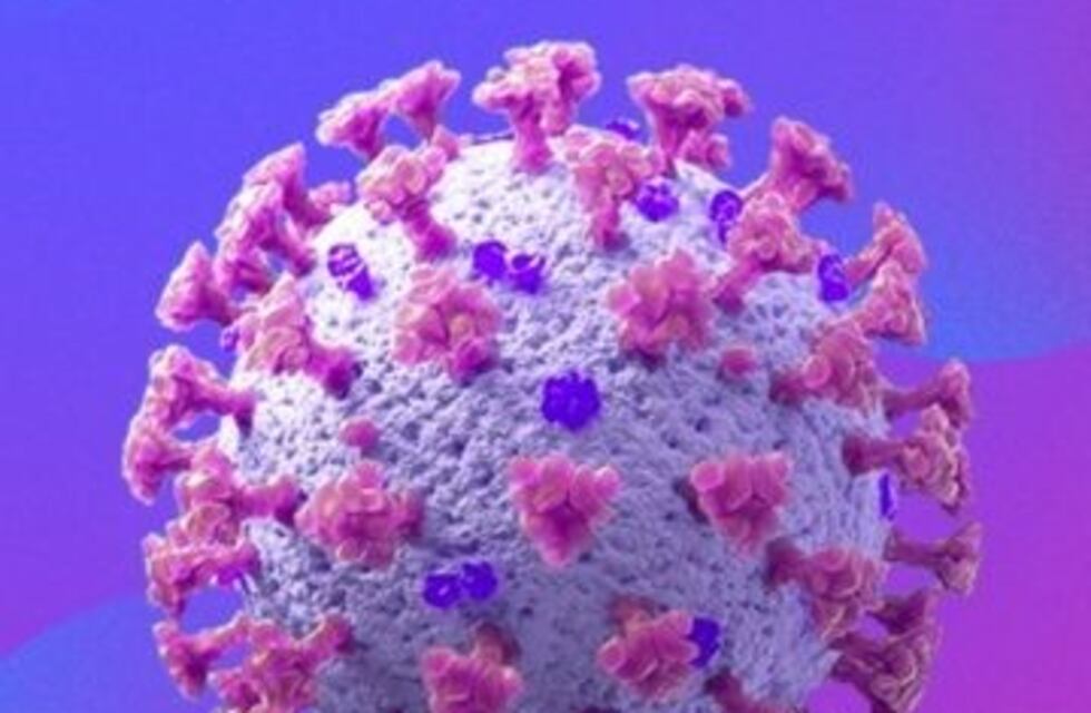 Coronavirus: se reportaron 26 nuevos casos en Gualeguaychú