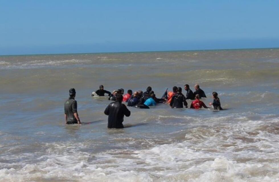 Dieron detalles de cómo fue el operativo que rescató a las orcas varadas en Mar Chiquita