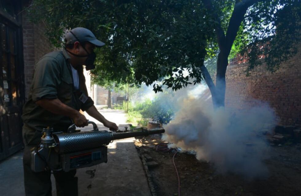 Por qué este año no explotó el dengue