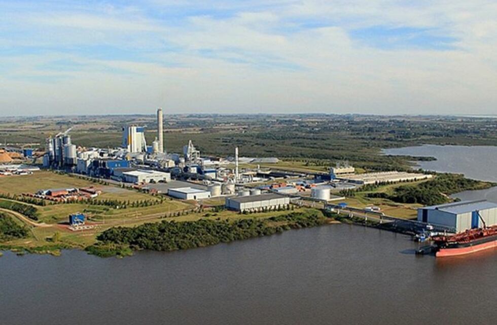 Preocupación por la instalación de una nueva pastera en Uruguay