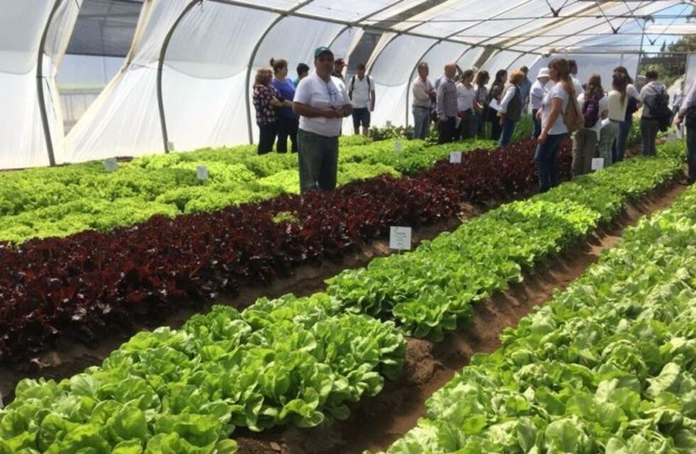 Jornada sobre horticultura en el Centro Regional de Educación Tecnológica