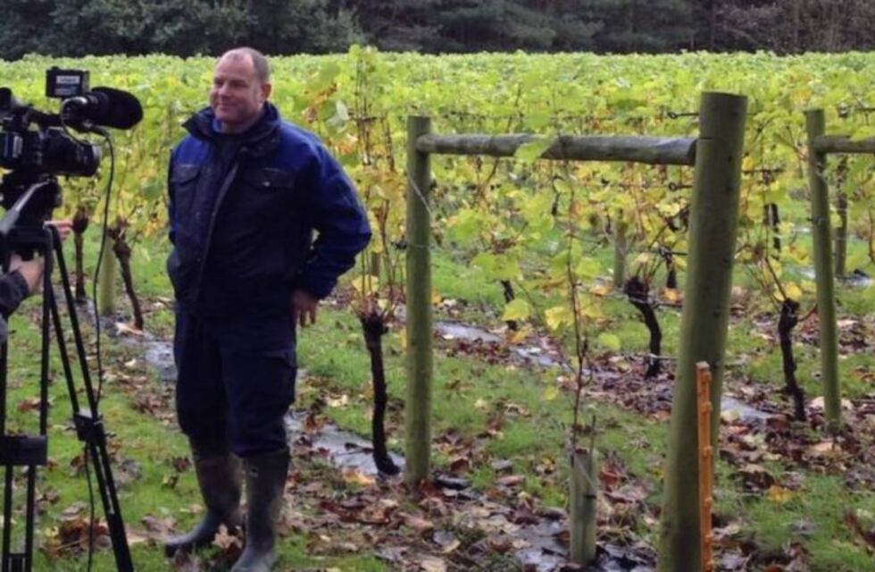 Avanza "Viñedos", la serie mendocina con argumento universal