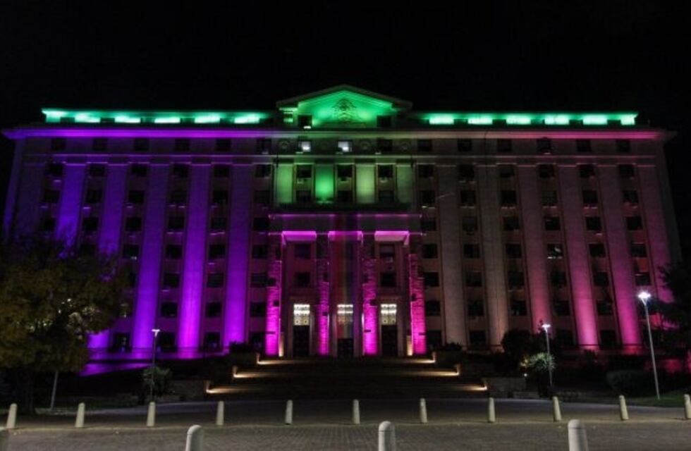 La Casa de Gobierno rindió homenaje a los 10 años del matrimonio igualitario