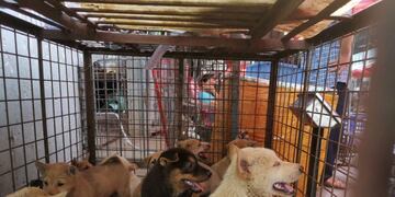 China: realizan la \