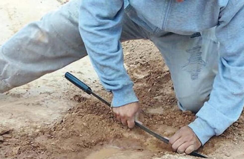 Campo Gallo: encontraron restos que podrían pertenecer a un animal extinto