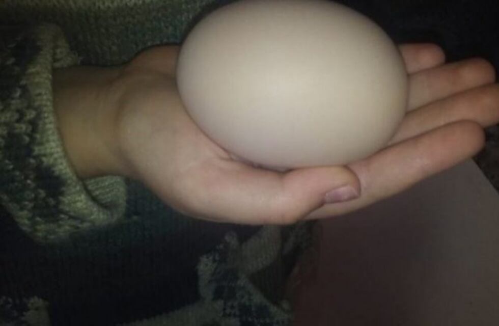 Una entrerriana encontró un huevo gigante de gallina