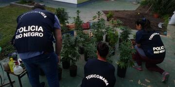 Gentileza: Diario Río Negro\u002E