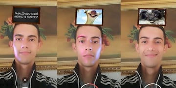 Cómo funcionan los filtros de Instagram de la máscara de realidad aumentada\u002E