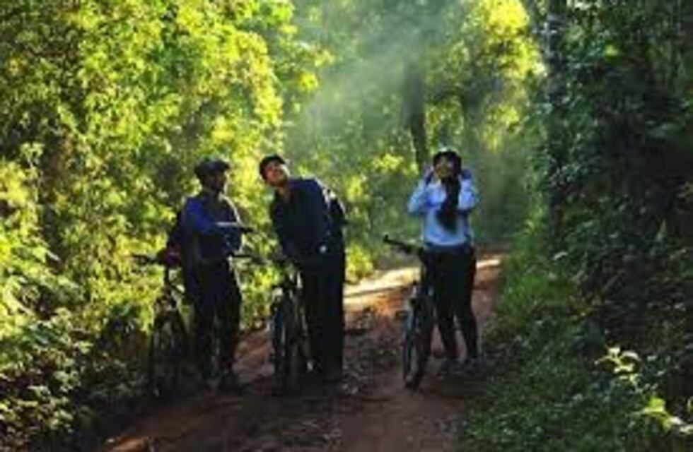Puerto Iguazú saldrá a pedalear en el día de la Mujer