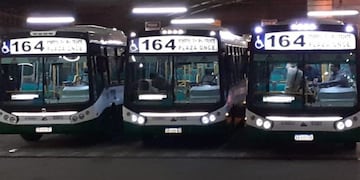 Línea 164 vuelve a circular (Foto:PerspectivaSur)