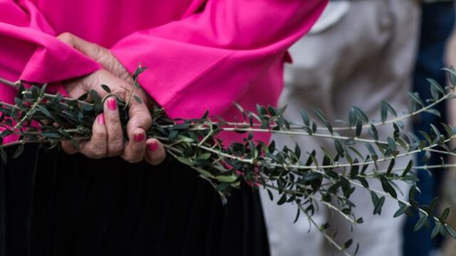 La tradicional Misa del domingo de Ramos