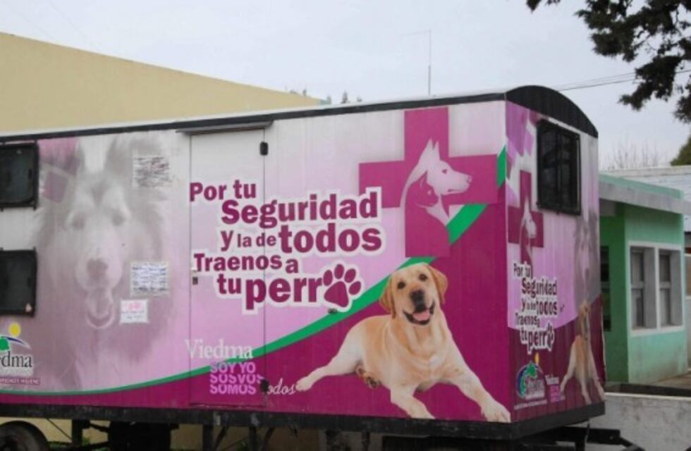 Hasta el 31 de agosto habrá un quirófano móvil gratuito para asistir a mascotas de Viedma