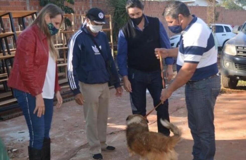 Este domingo realizarán una jornada de adopción de mascotas en Montecarlo