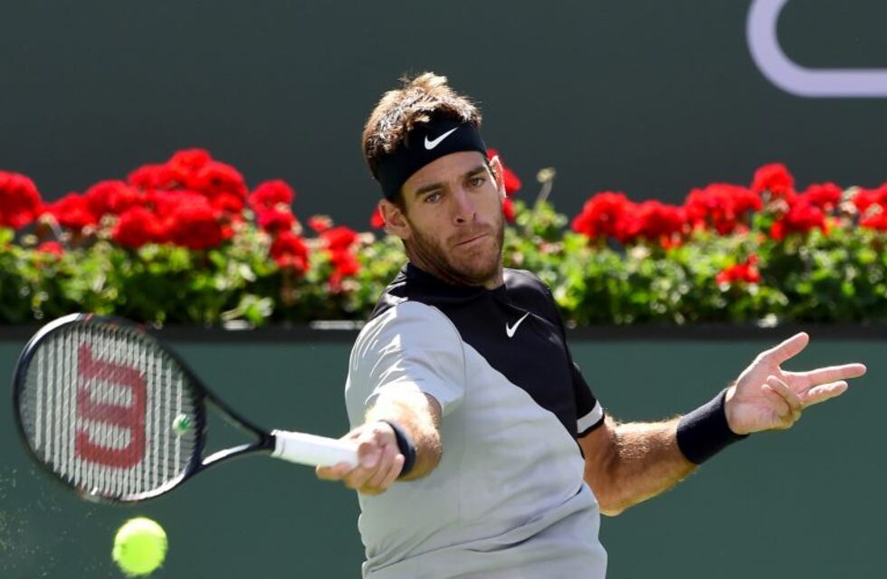 Del Potro le ganó a Raonic y jugará con Federer la final de Indian Wells