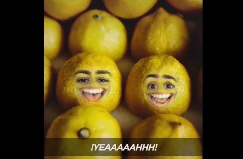 Casa Rosada celebró la exportación de limones a Estados Unidos con un peculiar video