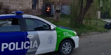 Secuestraron plantas de marihuana en una vivienda