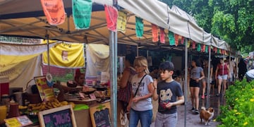 La feria se realizará el sábado 19\u002E