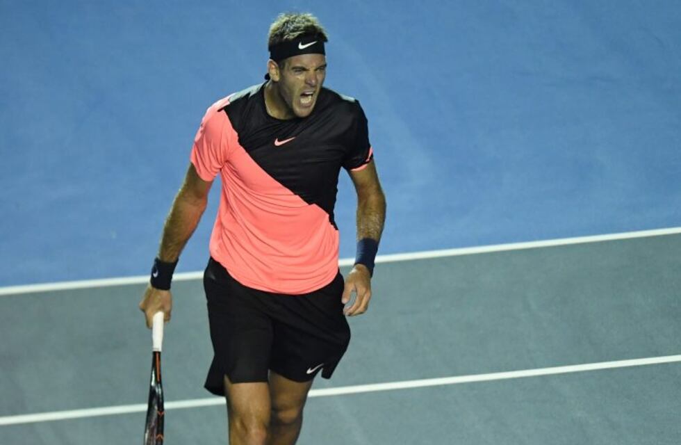 Del Potro superó a Ferrer y accedió a cuartos de final en Acapulco