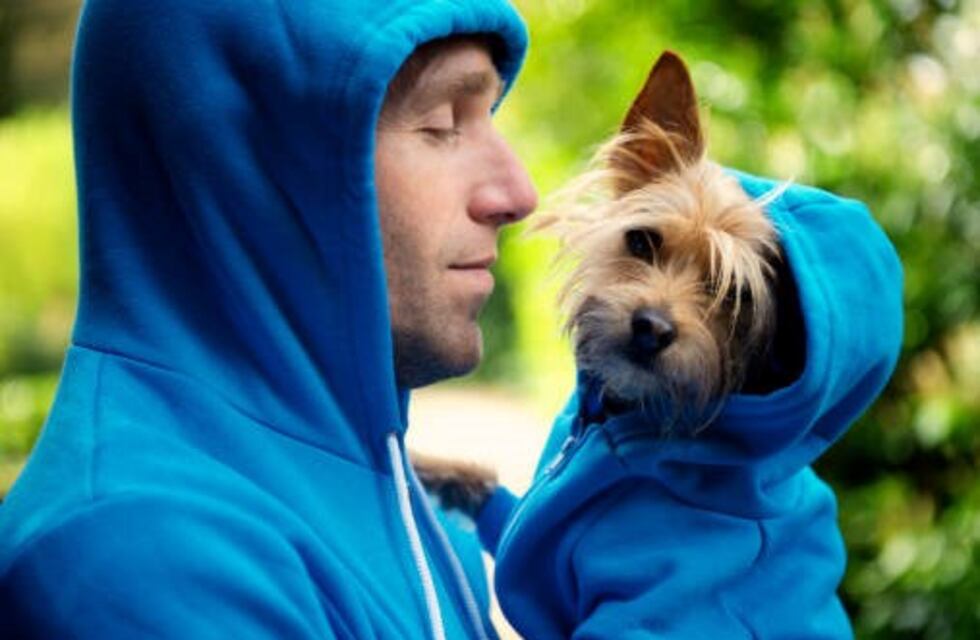 Entrenador “Perrosonal”: mostró cómo su perro lo ayuda a hacer abdominales y se volvió viral